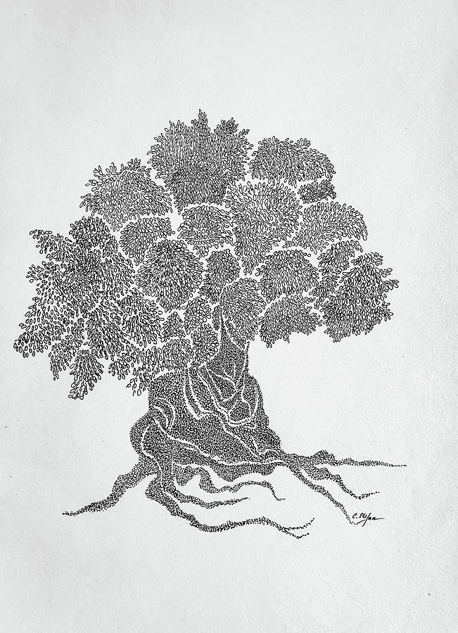 Olive tree - ink drawing, dots, pointillism art Drawing by Cristina Stefan