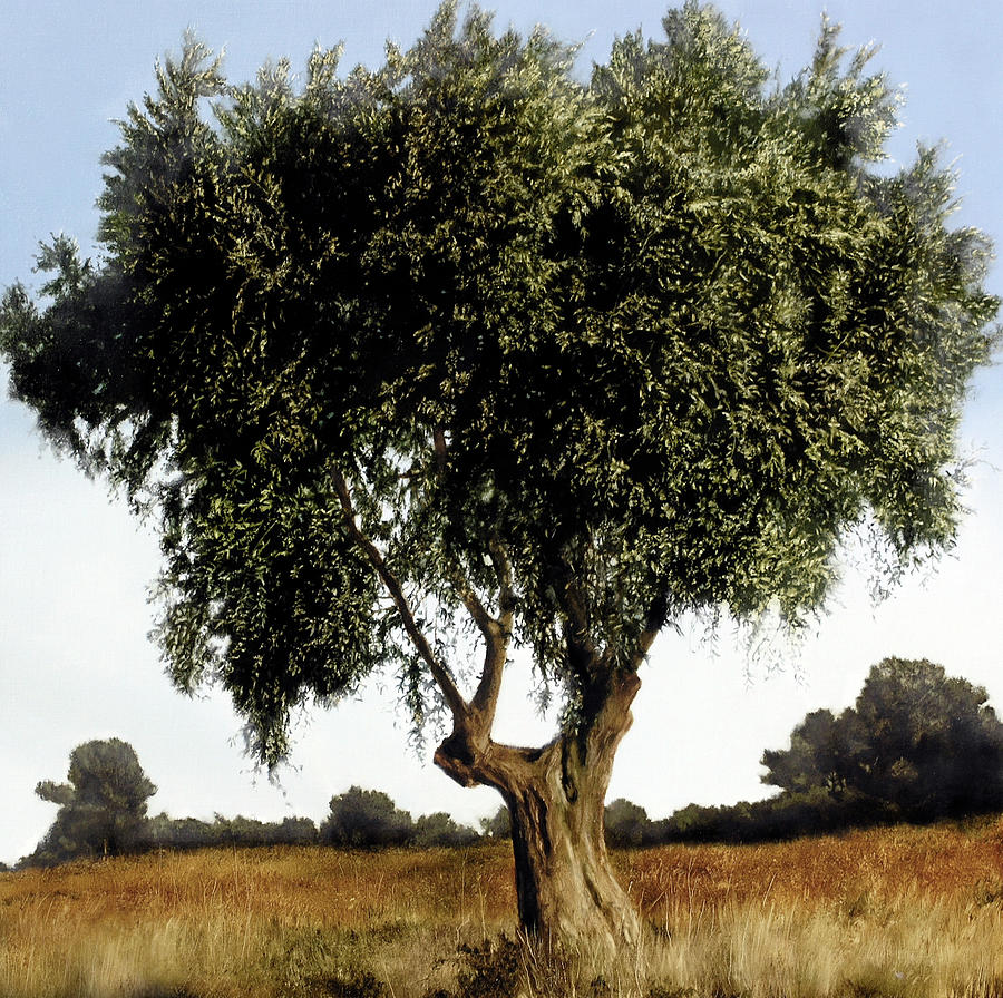 Landscape Painting - Olive tree by Thomas Darnell