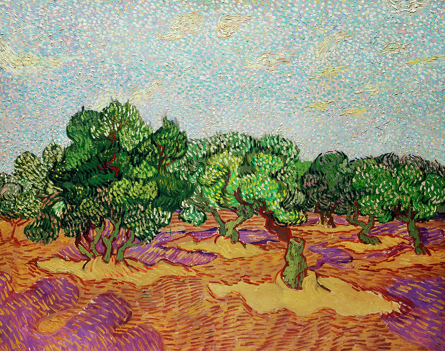 Vincent Van Gogh Painting - Olive Tree by Vincent van Gogh