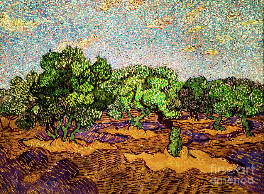 Olive Trees 1889 by Van Gogh Painting by Vincent Van Gogh