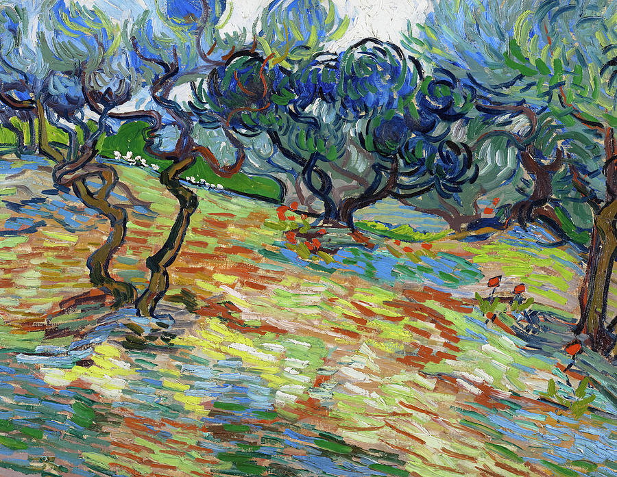 Olive Trees, France, 1889 Painting by Vincent van Gogh - Fine Art America