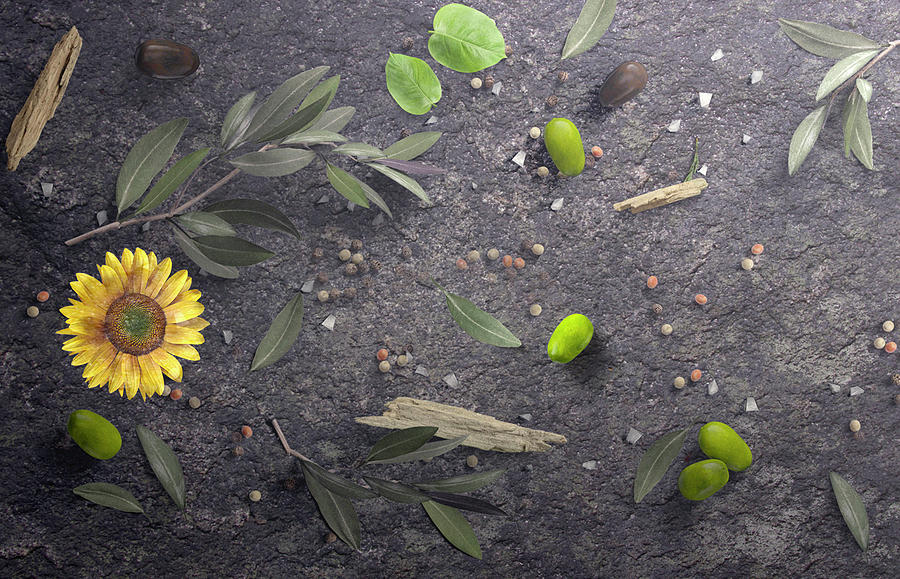 Olives Herbs Spices And Sunflower by Johanna Hurmerinta Olives Herbs Spices And Sunflower by Johanna Hurmerinta
