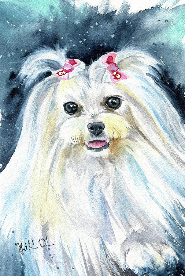 Dog Painting - Olivia Maltese Dog Painting by Dora Hathazi Mendes