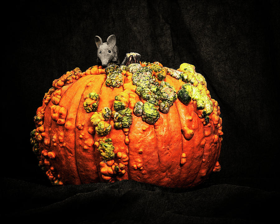 Ollie and The Pumpkin Digital Art by Sandra Selle Rodriguez