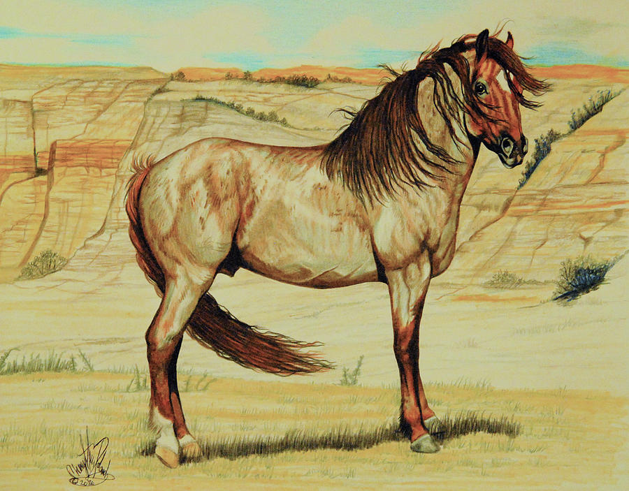 Ollie Jr. From Theodore Roosevelt Natl Park Wild Horse Herd #94-27 Drawing