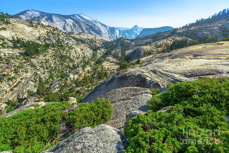 Olmsted Point Tenaya Canyon and Half Dome Photograph by Benny Marty