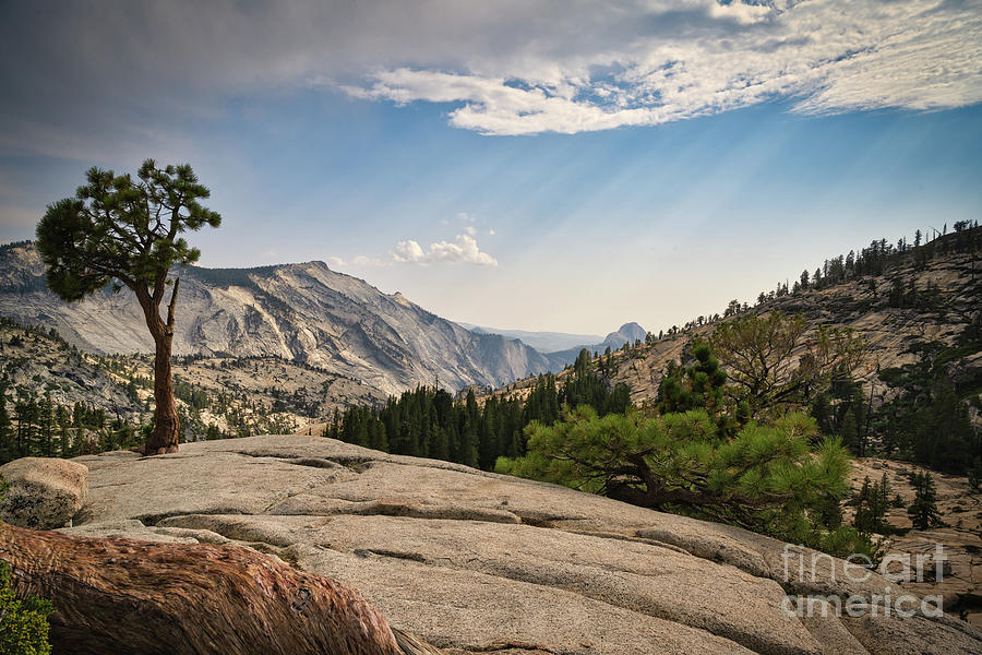 Olmsted Point Yosemite National Park Photograph by Abigail Diane Photography