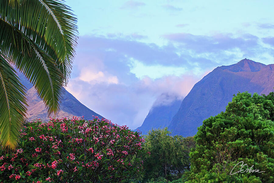 Olowalu Valley View From Freds Hale Photograph by Charlie Osborn Olowalu Valley View From Freds Hale Photograph by Charlie Osborn