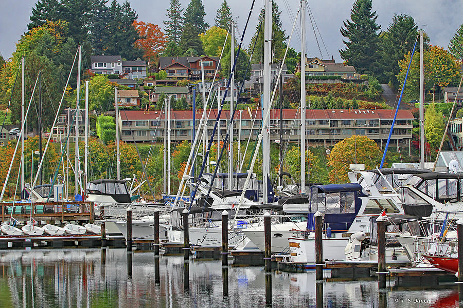 Olympia Waterfront Photograph by Tom Janca