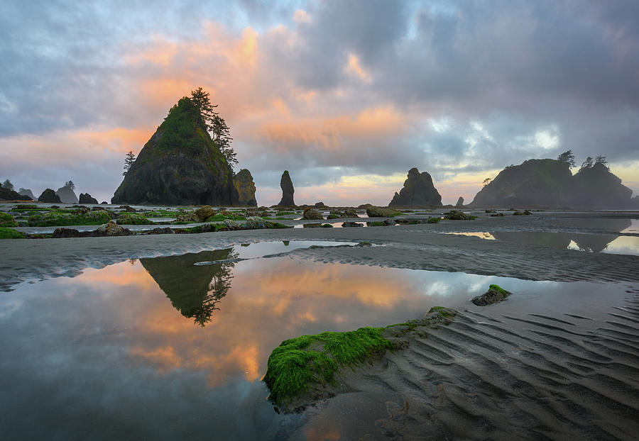 Olympic Morning Photograph by Thorsten Scheuermann - Fine Art America