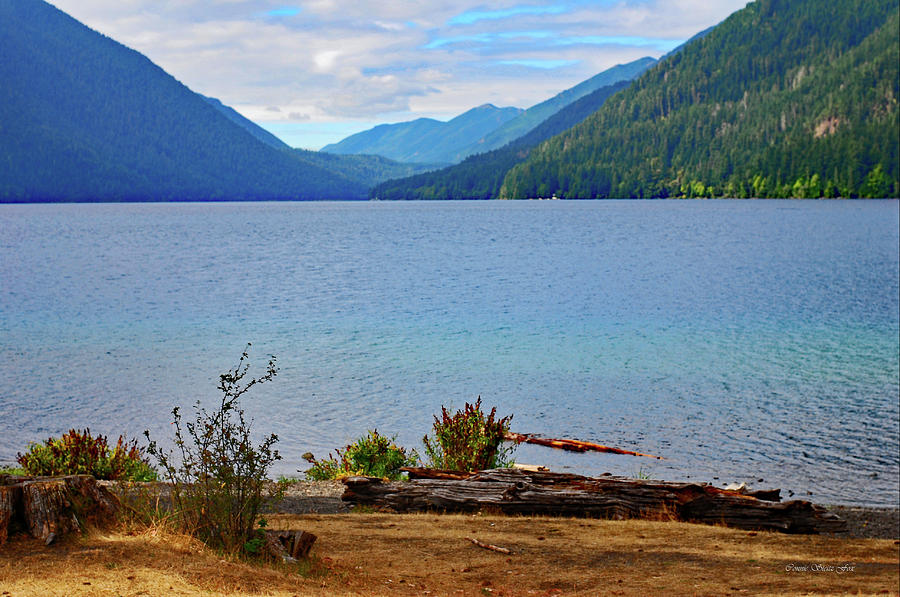 Olympic Mountains at Lake Crescent Photograph by Connie Fox