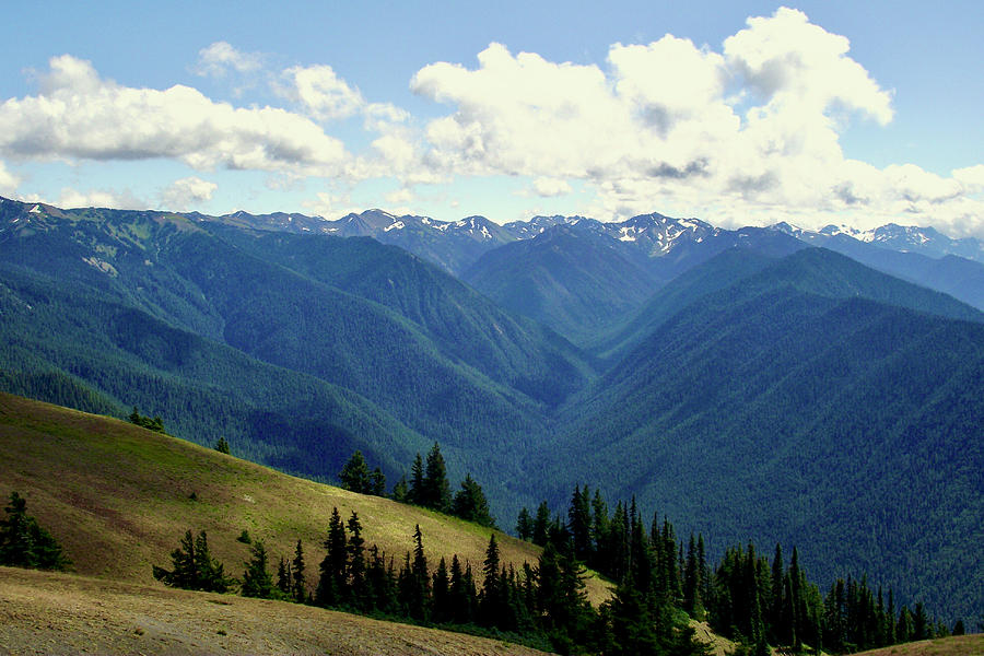 Olympic Mountains from Hurricane Ridge, Olympic National Park, Washington Photograph by Ruth Hager