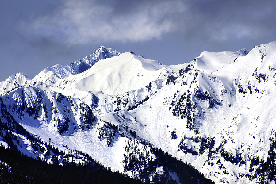 Olympic Mountains In Snow Photograph by Douglas Taylor
