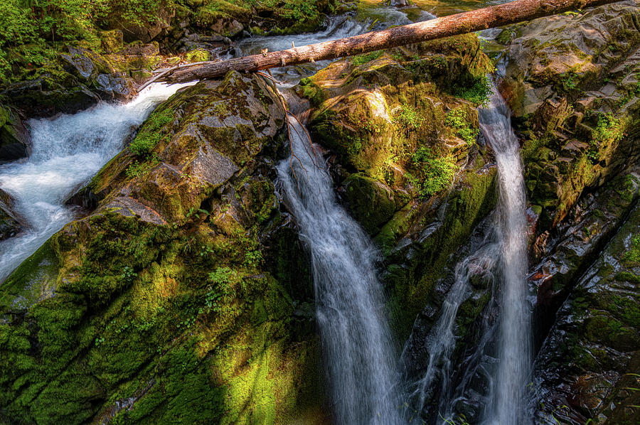 Olympic National Forest Waterfall Photograph by Jenware Photography ...