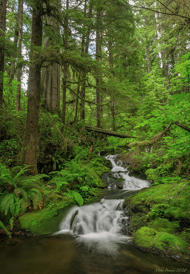 Olympic national Park 891 Photograph by Mike Penney - Fine Art America