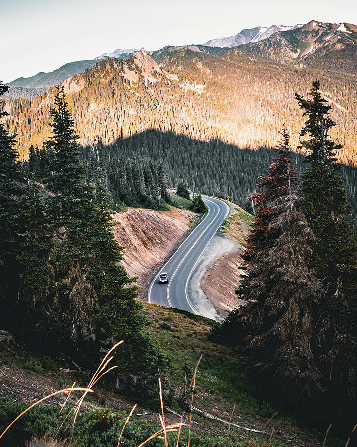 Olympic National Park Road Trip Photograph by Michael Shinners - Pixels