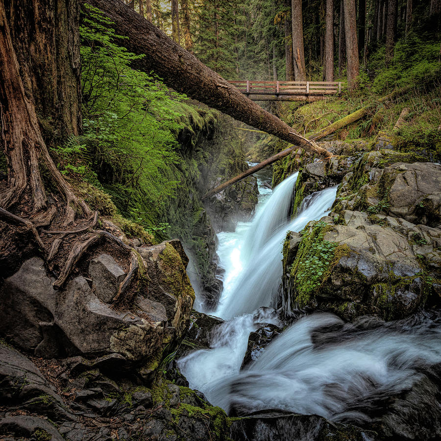 Olympic National Park - Sol Duc Falls Photograph