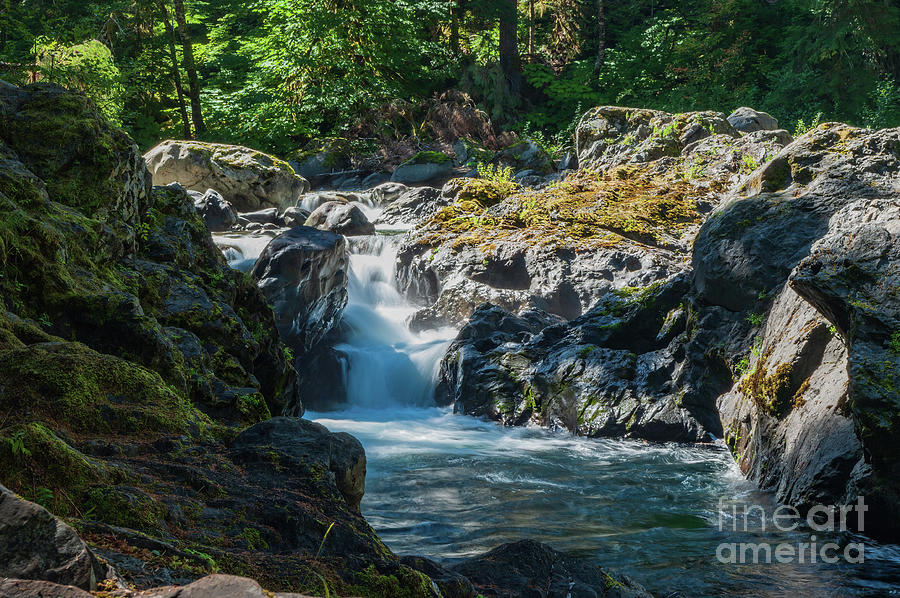 Olympic National Park Photograph - Olympic NP Waterfalls 2.0949 by Stephen Parker