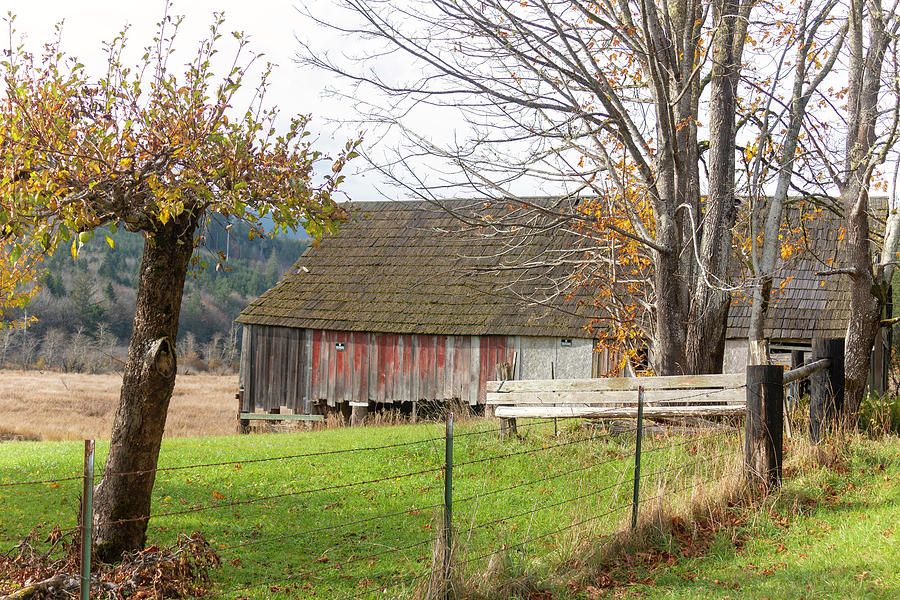 Olympic Peninsula Barn Photograph by Cathy Anderson