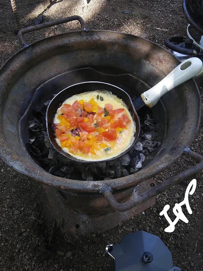 Omelet in a Pan  Photograph by Esoteric Gardens KN