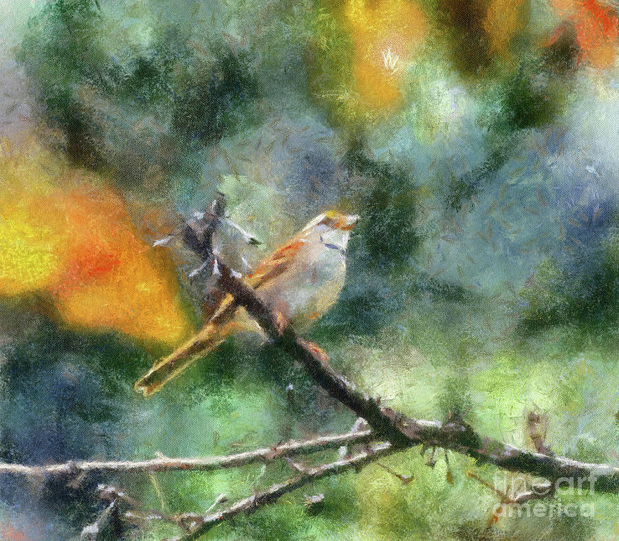 Bird Photograph - On A Branch by Kerri Farley