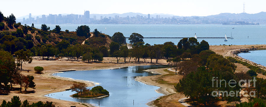 On a Clear Day You can See San Francisco Photograph by Tony Lee