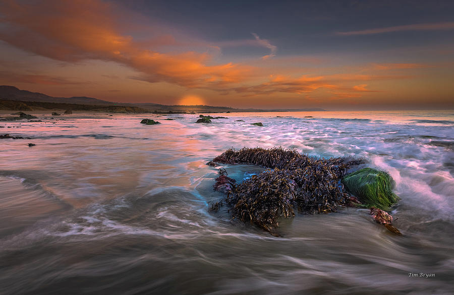 Sunset Photograph - On a Returning Tide by Tim Bryan