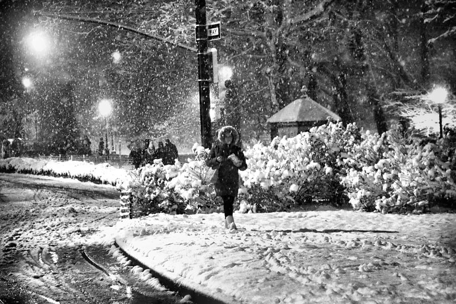 On a Snowy Night in Central Park No. 2 Photograph by Steve Ember