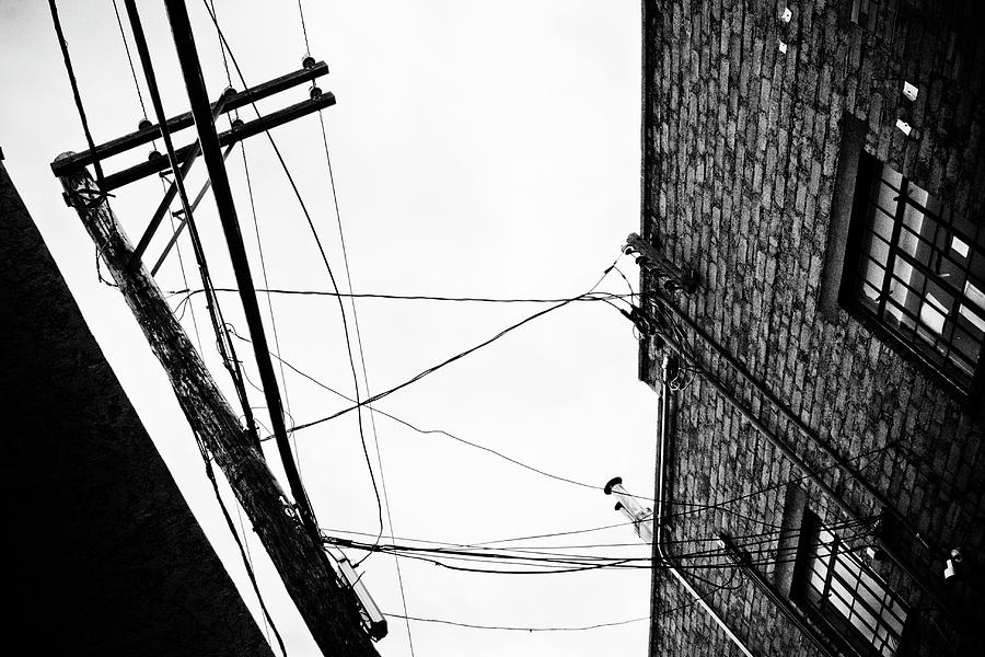 On A Wire Photograph by Carmen Kern