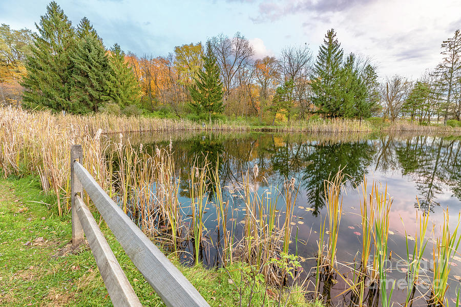 On Autumn Pond Photograph