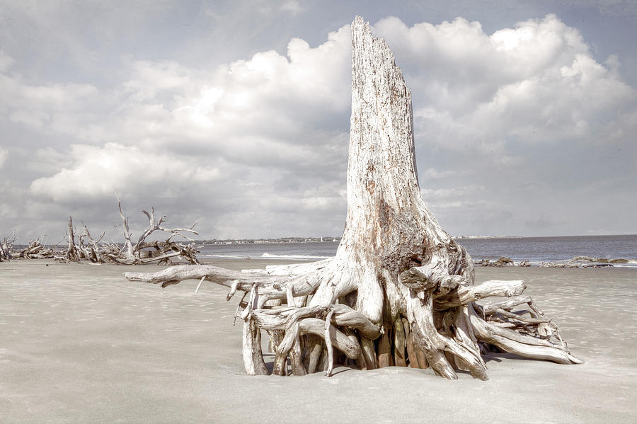 On Driftwood Beach at Low Tide in Beachhouse Hues Photograph by Debra and Dave Vanderlaan