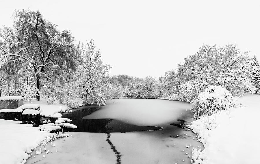 On Frozen Pond in Black and White Photograph by Nicola Nobile