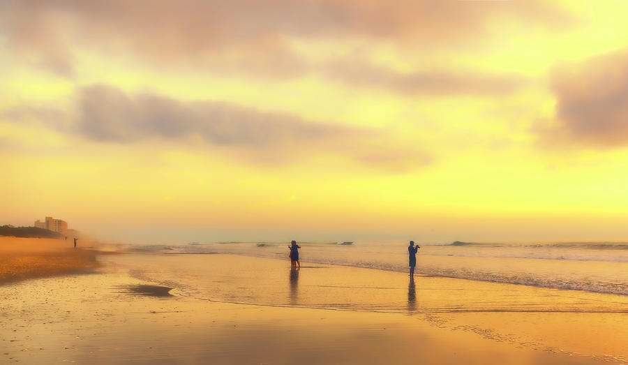 On Golden Beach Photograph by Karen Sirnick