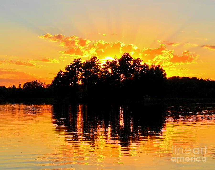 On Golden Pond Photograph by Ann Brown