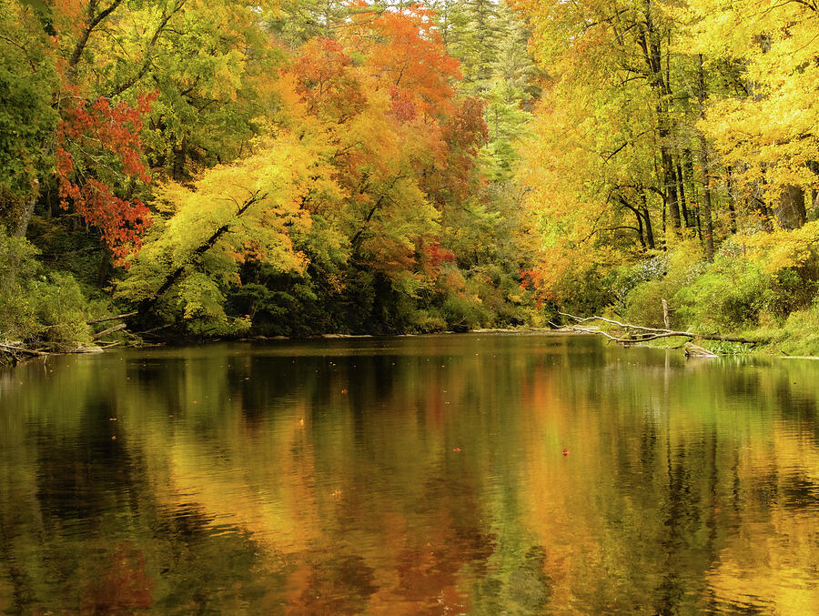 On Golden Pond Photograph by Dodie Ross On Golden Pond Photograph by Dodie Ross