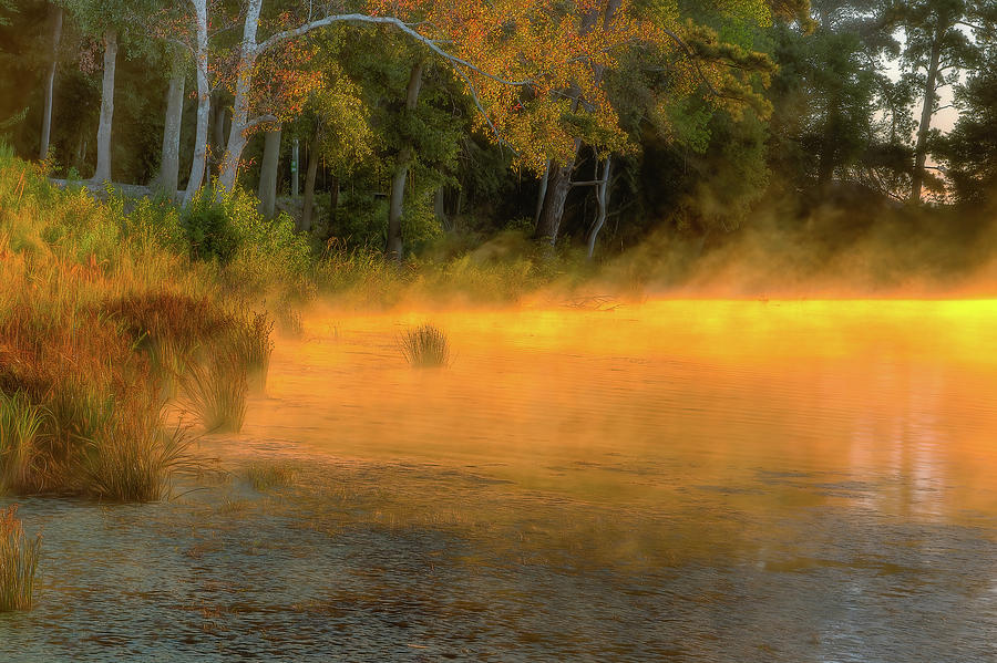 On Golden Pond Photograph