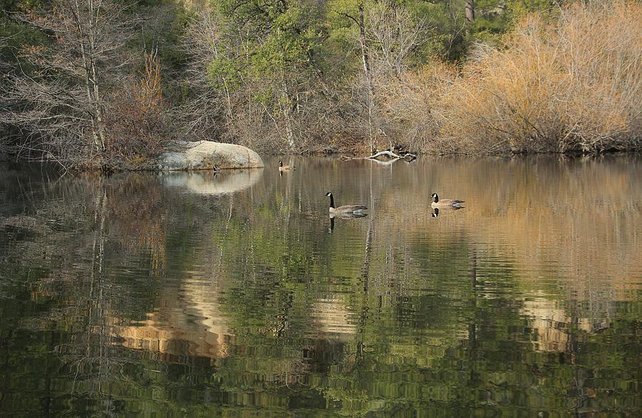 On Hirschman Pond Photograph by Sean Sarsfield