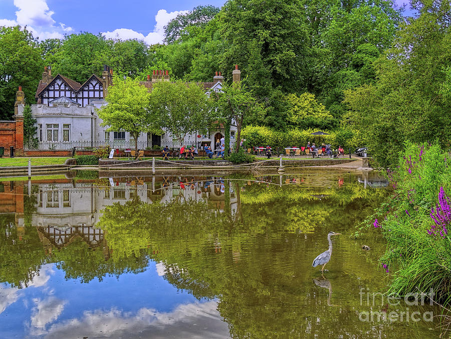 Surrey Photograph - On Reflection by Leigh Kemp Surrey Photograph - On Reflection by Leigh Kemp