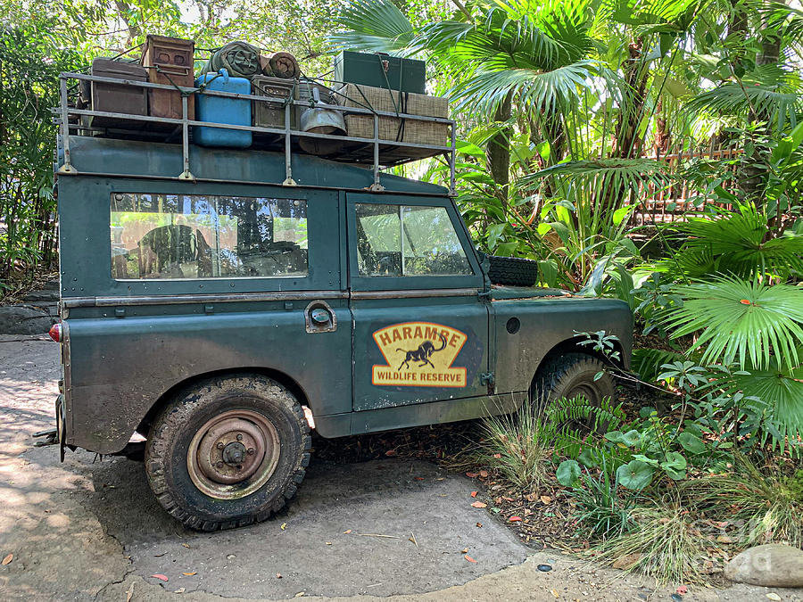On Safari - Land Rover Photograph