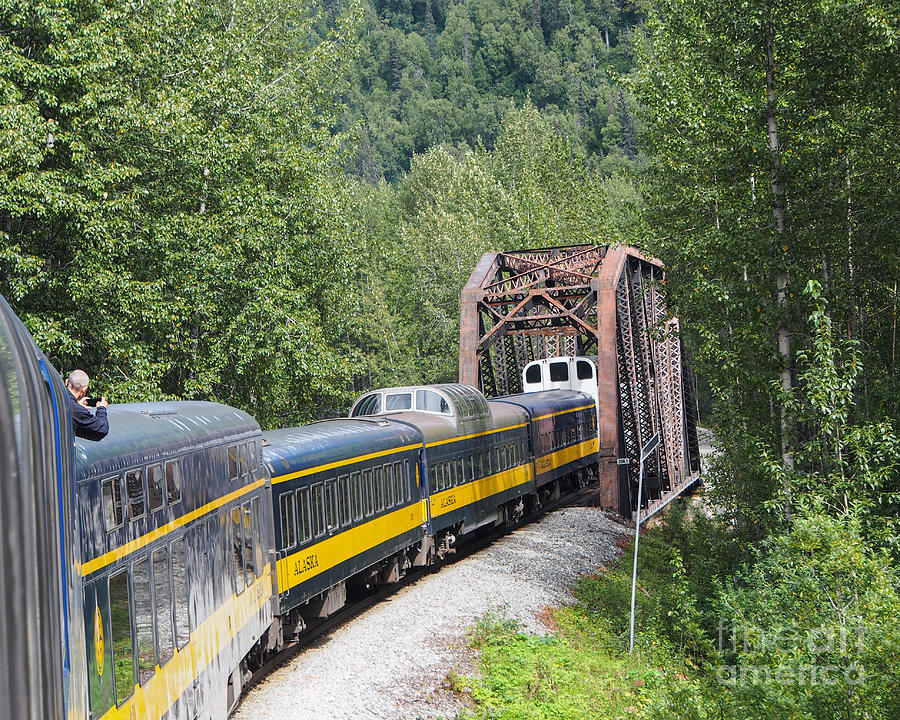 On the Alaska Railroad Headed to Anchorage Photograph by L Bosco
