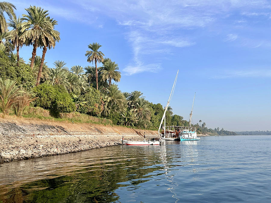 On the Banks of the Nile Photograph by Betty Eich