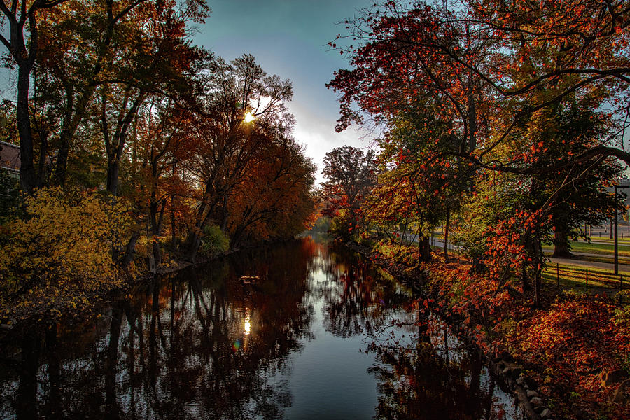 On the banks of the Red Cedar in the fall Photograph by Eldon McGraw