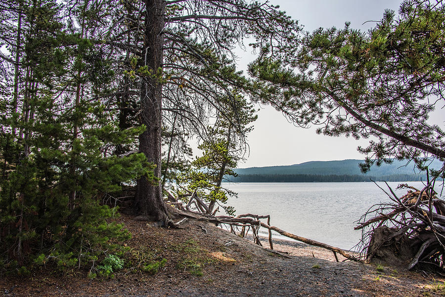 On The Beaches Of Yellowstone Lake Photograph by Yeates Photography