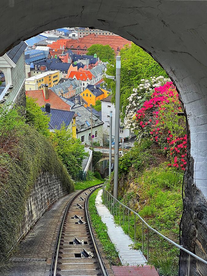 On the Bergen Funicular Photograph by Carla Parris