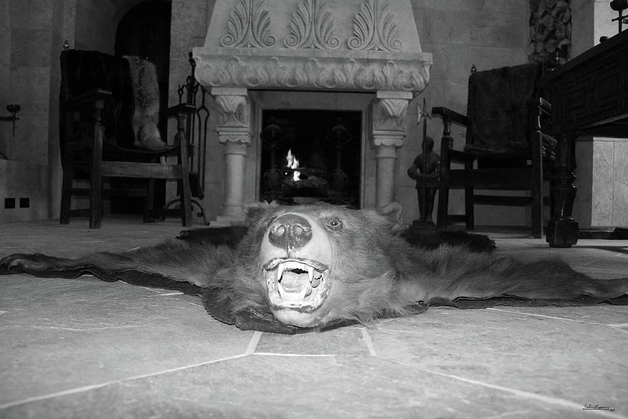 On the Castle Floor Photograph by Andrea Lawrence