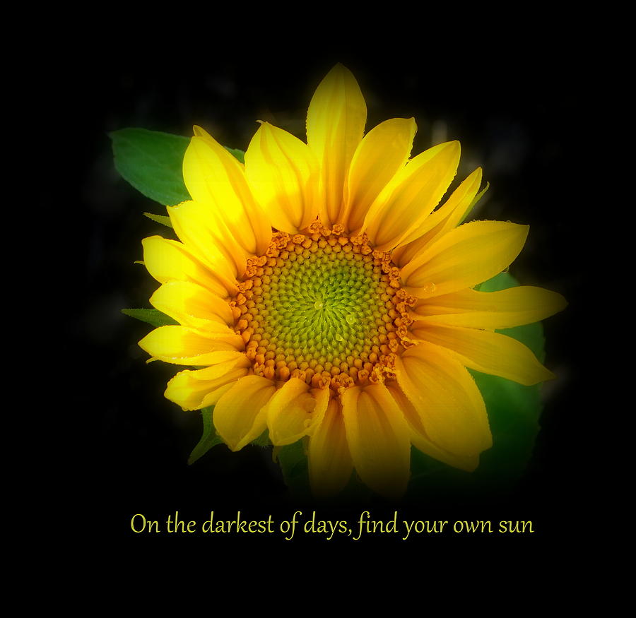 Sunflower Photograph - On the Darkest of Days by Karen Cook