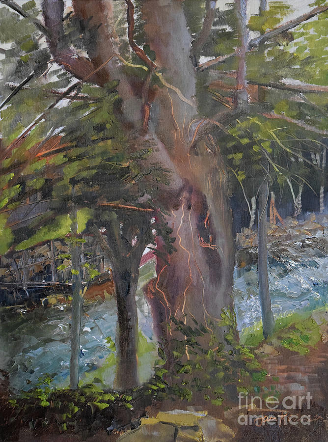 On the Edge -Tree on Ellijay River Painting by Jan Dappen
