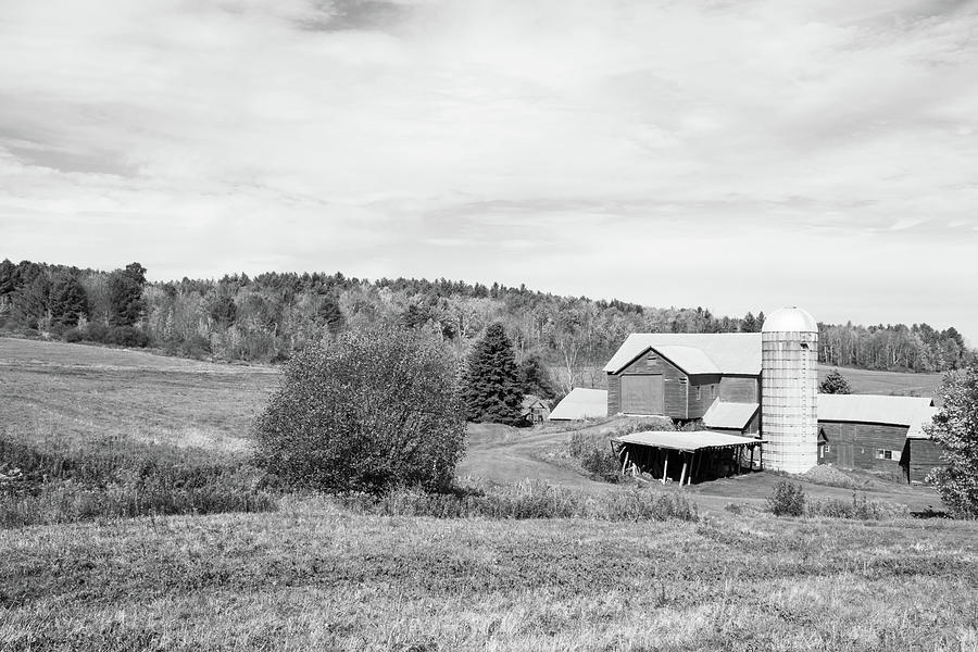 On the Farm in New York - Black and White Photograph by Angie Tirado