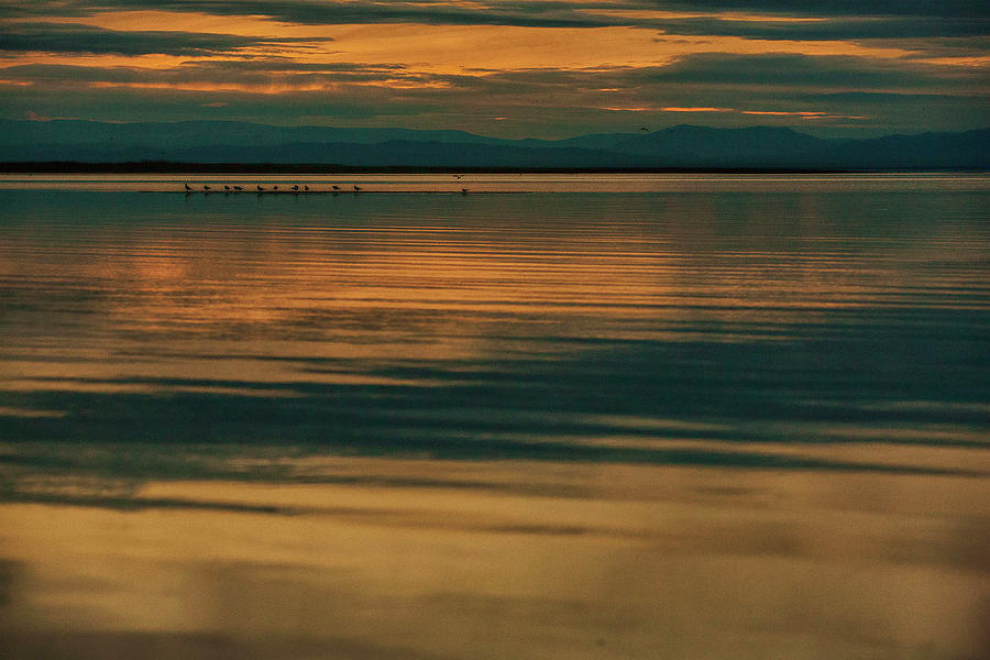 On The Lake Photograph by Bat-Erdene Baasansuren