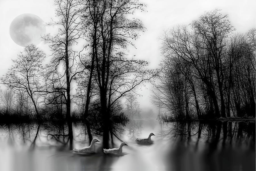 Tree Digital Art - On The Pond by Katy Breen